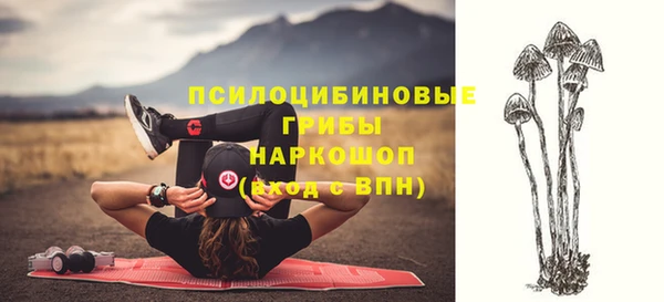 spice Бронницы