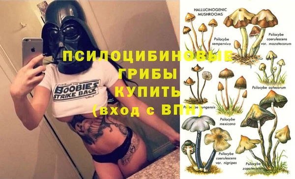 MDMA Premium VHQ Бородино