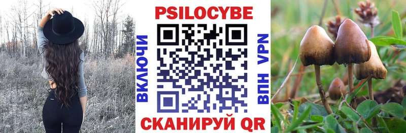 Псилоцибиновые грибы прущие грибы  Избербаш 